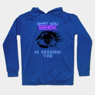 What You Seek Is Seeking You Hoodie